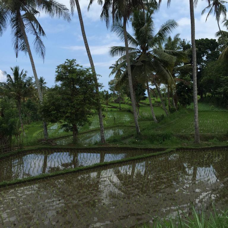 Bukit Asri Lodge Seraya Exterior photo